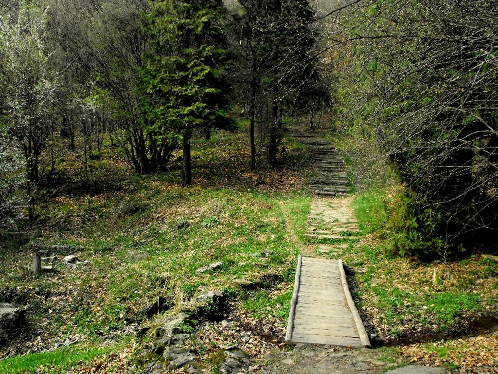 Туристическа пътека с дървено мостче сред гора при крепост „Градище“ – снимка от историческа забележителност в България.