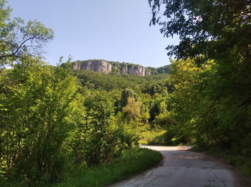 Планински път през гора с изглед към скални образувания в далечината.