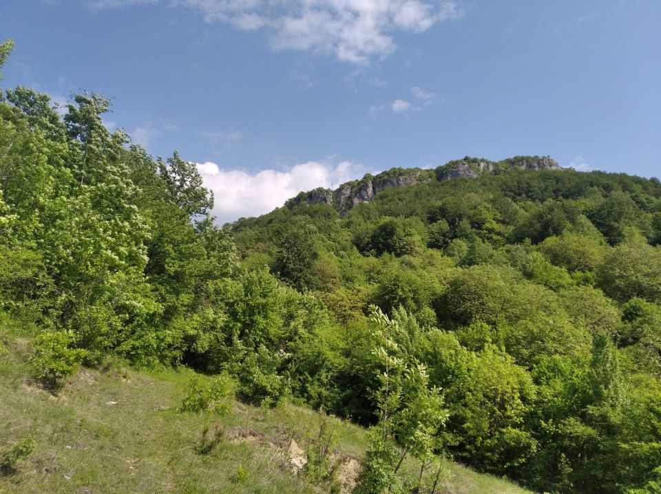 Залесен планински склон със скали и синьо небе.