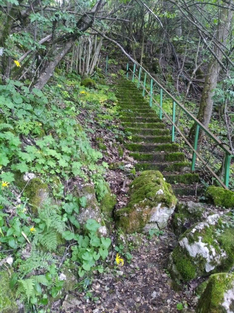 Каменни стъпала с метален парапет по горска пътека сред мъхести скали.