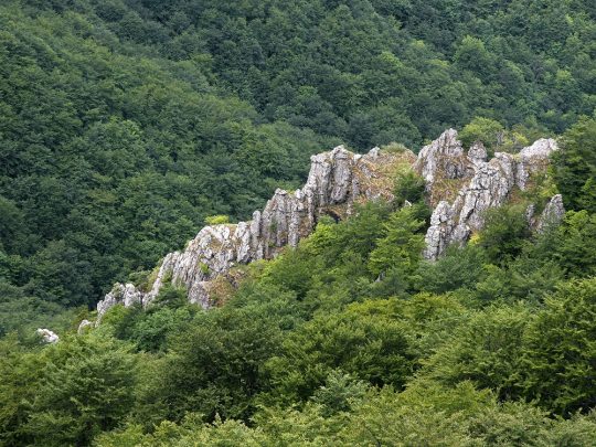 Скални образувания и зелени гори в Природен парк „Българка“